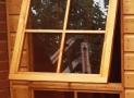 Ventana practicable para cobertizo Warwick conversion